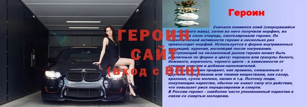 гашик Богданович