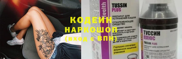 гашик Богданович