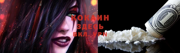 гашик Богданович