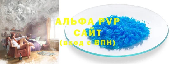 гашик Богданович