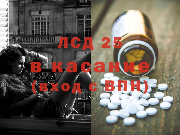 гашик Богданович