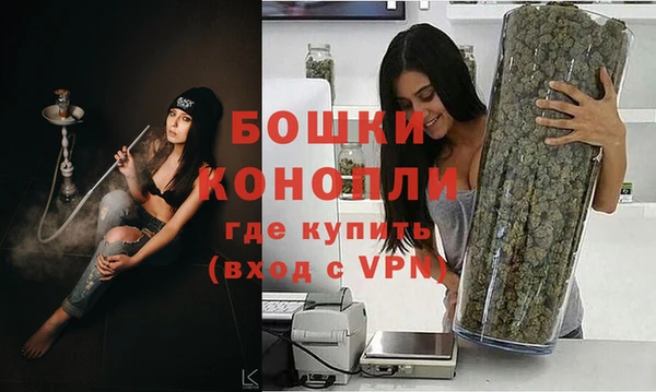 гашик Богданович