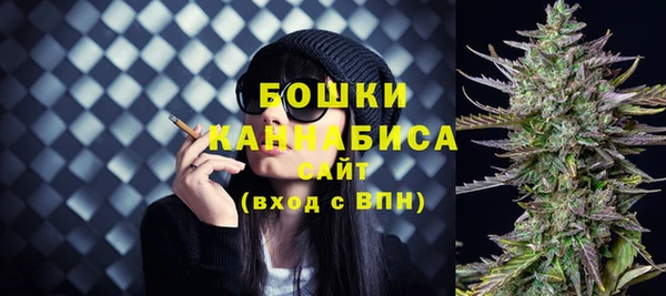 гашик Богданович