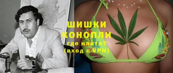 гашик Богданович