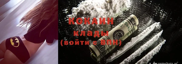 гашик Богданович