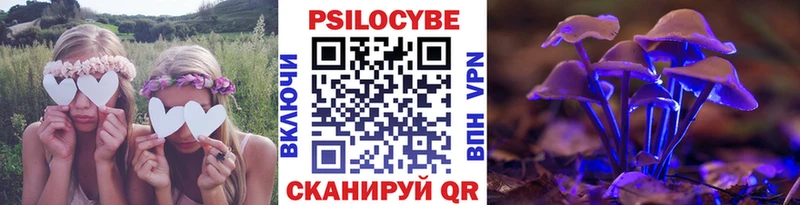 hydra онион  Льгов  Псилоцибиновые грибы Cubensis 